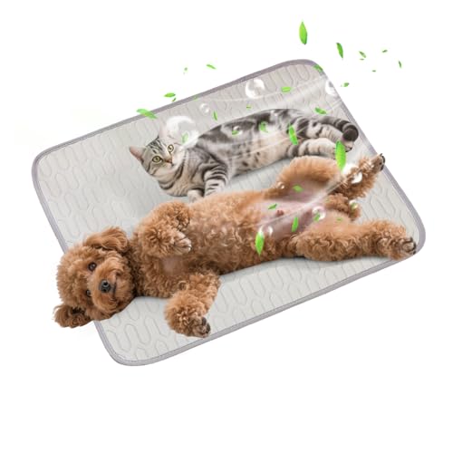 PETCUTE Gel-Freie Kühlmatte für Hunde,Selbstkühlende Kühldecke Hund,Kühlmatte Katze,Ungiftige Kühlpads für Haustiere,Waschbare Kühlpads für Haustiere,rutschfest,Perfekt für Auto,Reise und Zuhause S PETCUTE Gel-Freie Kühlmatte für Hunde,Selbstkühlende Kühldecke Hund,Kühlmatte Katze,Ungiftige Kühlpads für Haustiere,Waschbare Kühlpads für Haustiere,rutschfest,Perfekt für Auto,Reise und Zuhause S von PETCUTE