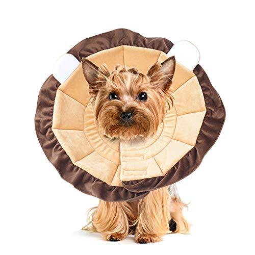PETCUTE Halskrause für Hunde - Schutzkragen für Hunde und Katzen - Wundheilung - Weiches Leder und Baumwolle - Klettverschluss von PETCUTE