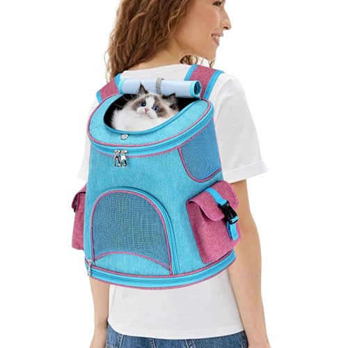 PETCUTE Haustier Hund Träger Rucksack,Atmungsaktiv Hunderucksack Katzenrucksack mit Abnehmbare Matte,Faltbarer Haustier Rucksack mit Sicherheitsleine für Reisen/Wandern/Camping,Bis zu 6 kg PETCUTE Haustier Hund Träger Rucksack,Atmungsaktiv Hunderucksack Katzenrucksack mit Abnehmbare Matte,Faltbarer Haustier Rucksack mit Sicherheitsleine für Reisen/Wandern/Camping,Bis zu 6 kg von PETCUTE