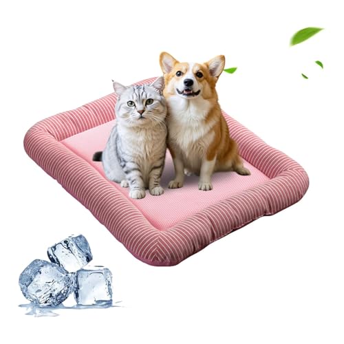 PETCUTE Haustier Katzenbett Katzen Tiere Hundedecke Hundekorb,Hundebett Grosse Mittlere Kleine Hunde,Hundedecke Hundebett Katzenbett Tierbett für Hunde Katzen PETCUTE Haustier Katzenbett Katzen Tiere Hundedecke Hundekorb,Hundebett Grosse Mittlere Kleine Hunde,Hundedecke Hundebett Katzenbett Tierbett für Hunde Katzen von PETCUTE