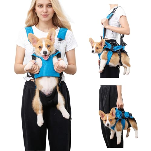 PETCUTE Haustier Rucksack Hundetragetasche,Verstellbare Brust Hunderucksack für Klein Hunde Katzen,Tragbare und Atmungsaktiv Haustier Tragetasche mit reflektierendem Band,Bis zu 15 kg,für Reisen PETCUTE Haustier Rucksack Hundetragetasche,Verstellbare Brust Hunderucksack für Klein Hunde Katzen,Tragbare und Atmungsaktiv Haustier Tragetasche mit reflektierendem Band,Bis zu 15 kg,für Reisen von PETCUTE