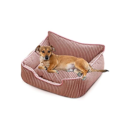 PETCUTE Haustierbett,Waschmaschinenfest Orthopädisches Hundebett Kleine Hunde,rutschfest,Hundebetten Hundekörbchen Hunde Katzenbett mit Abnehmbarem Waschbarem Bezug PETCUTE Haustierbett,Waschmaschinenfest Orthopädisches Hundebett Kleine Hunde,rutschfest,Hundebetten Hundekörbchen Hunde Katzenbett mit Abnehmbarem Waschbarem Bezug von PETCUTE