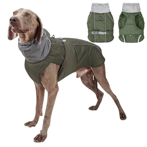 PETCUTE Hund Wintermantel,Wasserdichter Hundemantel Winter Warme Jacke,Winddichte Hundejacken mit Reflektierender Streifen und Gurtloch,Warmer Mantel für Hund für Camping Wandern PETCUTE Hund Wintermantel,Wasserdichter Hundemantel Winter Warme Jacke,Winddichte Hundejacken mit Reflektierender Streifen und Gurtloch,Warmer Mantel für Hund für Camping Wandern von PETCUTE