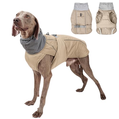 PETCUTE Hund Wintermantel,Wasserdichter Hundemantel Winter Warme Jacke,Winddichte Hundejacken mit Reflektierender Streifen und Gurtloch,Warmer Mantel für Hund für Camping Wandern PETCUTE Hund Wintermantel,Wasserdichter Hundemantel Winter Warme Jacke,Winddichte Hundejacken mit Reflektierender Streifen und Gurtloch,Warmer Mantel für Hund für Camping Wandern von PETCUTE