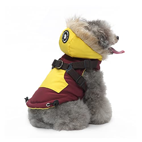 PETCUTE Hund Wintermantel mit Kapuze,Hundemantel mit Reißverschluss,Verstellbar Hunde Winterjacke für Kleine Mittelere und Große Hunde,Winter Hundejacke Hundeweste Kleidung für den Winter PETCUTE Hund Wintermantel mit Kapuze,Hundemantel mit Reißverschluss,Verstellbar Hunde Winterjacke für Kleine Mittelere und Große Hunde,Winter Hundejacke Hundeweste Kleidung für den Winter von PETCUTE