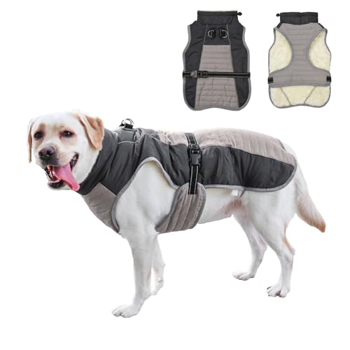 PETCUTE Hunde Wintermantel, Wasserdichter Hundemantel mit Reflektorstreifen,Einstellbar Hundejacke mit Leine Loch,Winddicht Hundebekleidung Outfit Hundemantel für Mittelittelgroße Hunde von PETCUTE