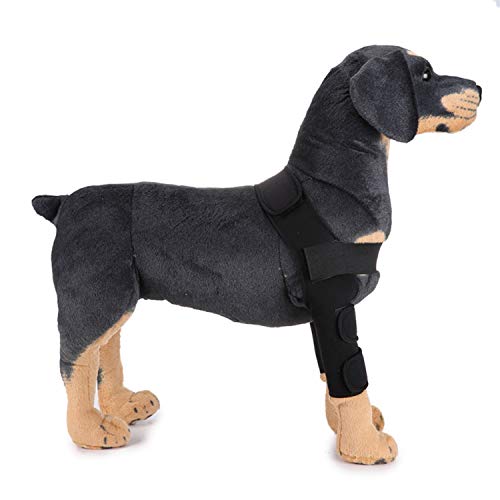PETCUTE Hunde gelenkschutz Sprunggelenk Wrap Hunde Bandage Gelenkbandage für das Vorderbein ihres Hundes (1 Paar) von PETCUTE