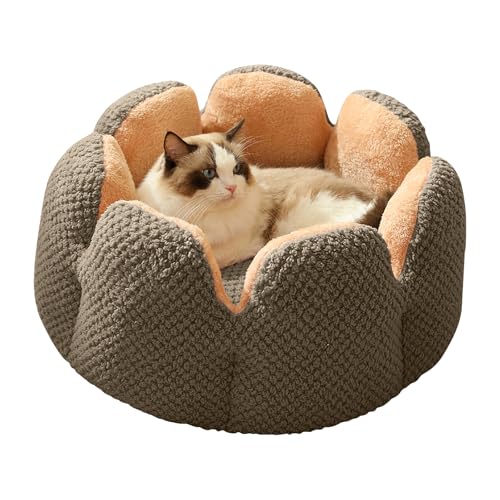 PETCUTE Hundebett,Waschbar Katzen Bettchen mit rutschfeste Unterseite,Weicher Hundekissen mit Zweiseitig Innenkissen,Haustierbett Katzenschlafplatz für Katzen und Kleine mittelgroßen Hunde PETCUTE Hundebett,Waschbar Katzen Bettchen mit rutschfeste Unterseite,Weicher Hundekissen mit Zweiseitig Innenkissen,Haustierbett Katzenschlafplatz für Katzen und Kleine mittelgroßen Hunde von PETCUTE