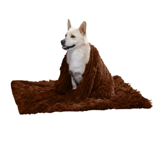 PETCUTE Hundebett Flauschig,Waschbar Hundekissen Flauschig Plüsch Hundebetten Hundesofa Katzenbett Hundekorb für Grosse und Kleine Hunde Katze,Anti-Angst,Beidseitige Verwendung PETCUTE Hundebett Flauschig,Waschbar Hundekissen Flauschig Plüsch Hundebetten Hundesofa Katzenbett Hundekorb für Grosse und Kleine Hunde Katze,Anti-Angst,Beidseitige Verwendung von PETCUTE