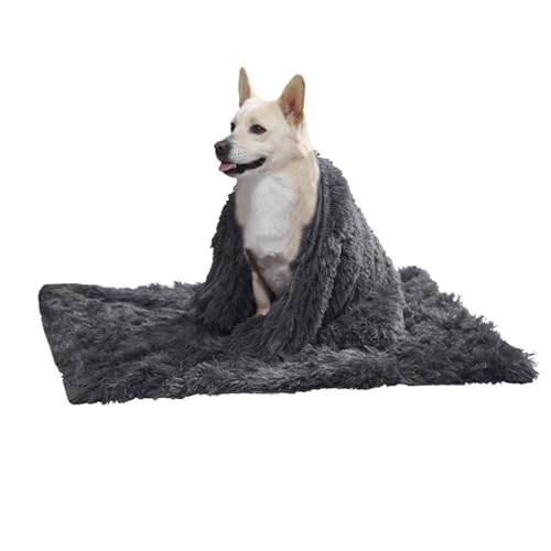 PETCUTE Hundebett Flauschig,Waschbar Hundekissen Flauschig Plüsch Hundebetten Hundesofa Katzenbett Hundekorb für Grosse und Kleine Hunde Katze,Anti-Angst,Beidseitige Verwendung PETCUTE Hundebett Flauschig,Waschbar Hundekissen Flauschig Plüsch Hundebetten Hundesofa Katzenbett Hundekorb für Grosse und Kleine Hunde Katze,Anti-Angst,Beidseitige Verwendung von PETCUTE