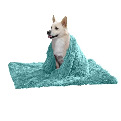 PETCUTE Hundebett Flauschig,Waschbar Hundekissen Flauschig Plüsch Hundebetten Hundesofa Katzenbett Hundekorb für Grosse und Kleine Hunde Katze,Anti-Angst,Beidseitige Verwendung PETCUTE Hundebett Flauschig,Waschbar Hundekissen Flauschig Plüsch Hundebetten Hundesofa Katzenbett Hundekorb für Grosse und Kleine Hunde Katze,Anti-Angst,Beidseitige Verwendung von PETCUTE