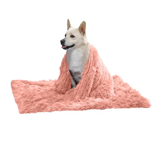 PETCUTE Hundebett Flauschig,Waschbar Hundekissen Flauschig Plüsch Hundebetten Hundesofa Katzenbett Hundekorb für Grosse und Kleine Hunde Katze,Anti-Angst,Beidseitige Verwendung PETCUTE Hundebett Flauschig,Waschbar Hundekissen Flauschig Plüsch Hundebetten Hundesofa Katzenbett Hundekorb für Grosse und Kleine Hunde Katze,Anti-Angst,Beidseitige Verwendung von PETCUTE