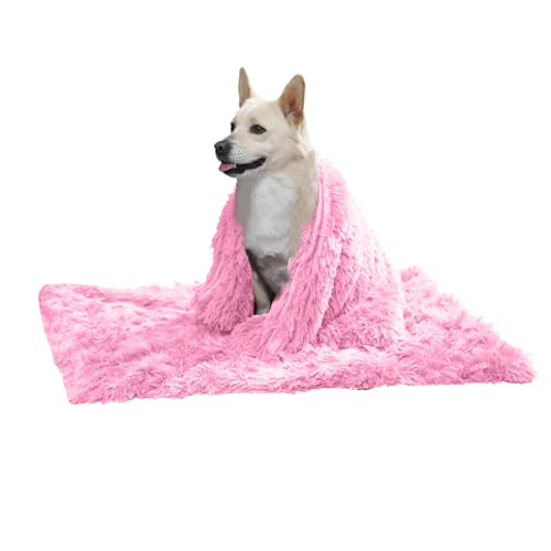 PETCUTE Hundebett Flauschig,Waschbar Hundekissen Flauschig Plüsch Hundebetten Hundesofa Katzenbett Hundekorb für Grosse und Kleine Hunde Katze,Anti-Angst,Beidseitige Verwendung PETCUTE Hundebett Flauschig,Waschbar Hundekissen Flauschig Plüsch Hundebetten Hundesofa Katzenbett Hundekorb für Grosse und Kleine Hunde Katze,Anti-Angst,Beidseitige Verwendung von PETCUTE