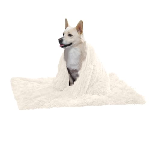 PETCUTE Hundebett Flauschig,Waschbar Hundekissen Flauschig Plüsch Hundebetten Hundesofa Katzenbett Hundekorb für Grosse und Kleine Hunde Katze,Anti-Angst,Beidseitige Verwendung PETCUTE Hundebett Flauschig,Waschbar Hundekissen Flauschig Plüsch Hundebetten Hundesofa Katzenbett Hundekorb für Grosse und Kleine Hunde Katze,Anti-Angst,Beidseitige Verwendung von PETCUTE