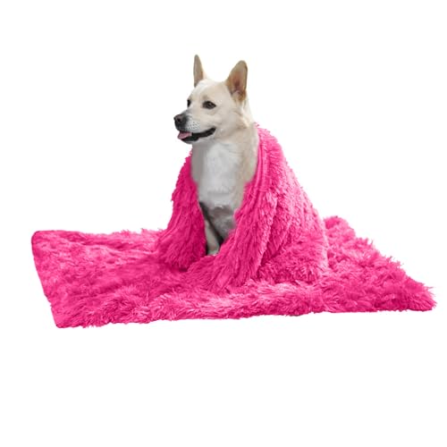 PETCUTE Hundebett Flauschig,Waschbar Hundekissen Flauschig Plüsch Hundebetten Hundesofa Katzenbett Hundekorb für Grosse und Kleine Hunde Katze,Anti-Angst,Beidseitige Verwendung PETCUTE Hundebett Flauschig,Waschbar Hundekissen Flauschig Plüsch Hundebetten Hundesofa Katzenbett Hundekorb für Grosse und Kleine Hunde Katze,Anti-Angst,Beidseitige Verwendung von PETCUTE