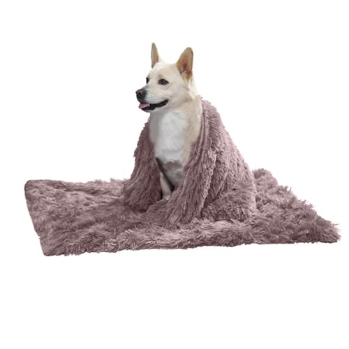 PETCUTE Hundebett Flauschig,Waschbar Hundekissen Flauschig Plüsch Hundebetten Hundesofa Katzenbett Hundekorb für Grosse und Kleine Hunde Katze,Anti-Angst,Beidseitige Verwendung PETCUTE Hundebett Flauschig,Waschbar Hundekissen Flauschig Plüsch Hundebetten Hundesofa Katzenbett Hundekorb für Grosse und Kleine Hunde Katze,Anti-Angst,Beidseitige Verwendung von PETCUTE