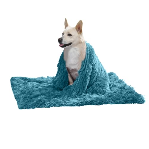 PETCUTE Hundebett Flauschig,Waschbar Hundekissen Flauschig Plüsch Hundebetten Hundesofa Katzenbett Hundekorb für Grosse und Kleine Hunde Katze,Anti-Angst,Beidseitige Verwendung PETCUTE Hundebett Flauschig,Waschbar Hundekissen Flauschig Plüsch Hundebetten Hundesofa Katzenbett Hundekorb für Grosse und Kleine Hunde Katze,Anti-Angst,Beidseitige Verwendung von PETCUTE