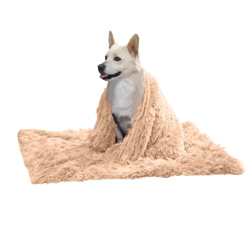 PETCUTE Hundebett Flauschig,Waschbar Hundekissen Flauschig Plüsch Hundebetten Hundesofa Katzenbett Hundekorb für Grosse und Kleine Hunde Katze,Anti-Angst,Beidseitige Verwendung PETCUTE Hundebett Flauschig,Waschbar Hundekissen Flauschig Plüsch Hundebetten Hundesofa Katzenbett Hundekorb für Grosse und Kleine Hunde Katze,Anti-Angst,Beidseitige Verwendung von PETCUTE