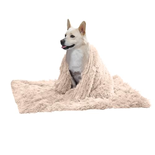 PETCUTE Hundebett Flauschig,Waschbar Hundekissen Flauschig Plüsch Hundebetten Hundesofa Katzenbett Hundekorb für Grosse und Kleine Hunde Katze,Anti-Angst,Beidseitige Verwendung PETCUTE Hundebett Flauschig,Waschbar Hundekissen Flauschig Plüsch Hundebetten Hundesofa Katzenbett Hundekorb für Grosse und Kleine Hunde Katze,Anti-Angst,Beidseitige Verwendung von PETCUTE