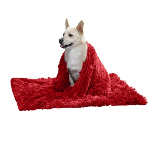 PETCUTE Hundebett Flauschig,Waschbar Hundekissen Flauschig Plüsch Hundebetten Hundesofa Katzenbett Hundekorb für Grosse und Kleine Hunde Katze,Anti-Angst,Beidseitige Verwendung PETCUTE Hundebett Flauschig,Waschbar Hundekissen Flauschig Plüsch Hundebetten Hundesofa Katzenbett Hundekorb für Grosse und Kleine Hunde Katze,Anti-Angst,Beidseitige Verwendung von PETCUTE