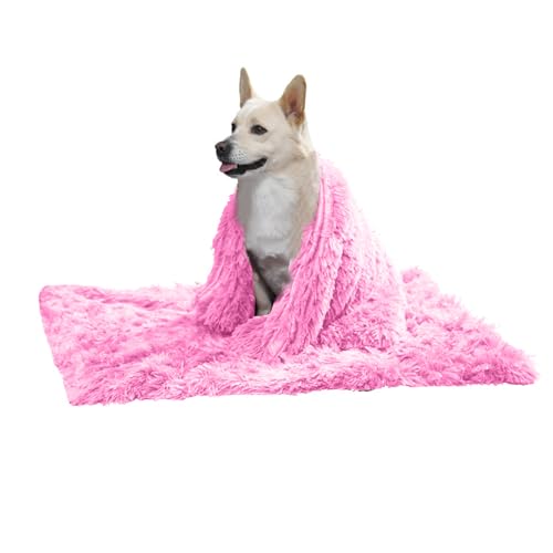 PETCUTE Hundebett Flauschig,Waschbar Hundekissen Flauschig Plüsch Hundebetten Hundesofa Katzenbett Hundekorb für Grosse und Kleine Hunde Katze,Anti-Angst,Beidseitige Verwendung PETCUTE Hundebett Flauschig,Waschbar Hundekissen Flauschig Plüsch Hundebetten Hundesofa Katzenbett Hundekorb für Grosse und Kleine Hunde Katze,Anti-Angst,Beidseitige Verwendung von PETCUTE