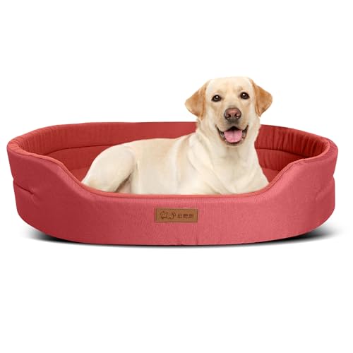 PETCUTE Hundebett Grosse Hunde,Großes Orthopädisches Hundebett mit Abnehmbarem Kissen,Hundekörbchen Hundekissen Grosse Hunde,Waschbares Haustierbett with rutschfeste Unterseite PETCUTE Hundebett Grosse Hunde,Großes Orthopädisches Hundebett mit Abnehmbarem Kissen,Hundekörbchen Hundekissen Grosse Hunde,Waschbares Haustierbett with rutschfeste Unterseite von PETCUTE