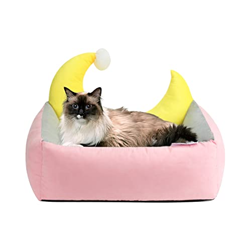 PETCUTE Hundebett Grosse Hunde,Hundekörbchen Waschbar für große Katzen oder kleine Hunde, Quadratisches Hundebetten mit rutschfeste Unterseite und Bezug Abnehmbar,Hundekissen für Hunde und Katzen PETCUTE Hundebett Grosse Hunde,Hundekörbchen Waschbar für große Katzen oder kleine Hunde, Quadratisches Hundebetten mit rutschfeste Unterseite und Bezug Abnehmbar,Hundekissen für Hunde und Katzen von PETCUTE