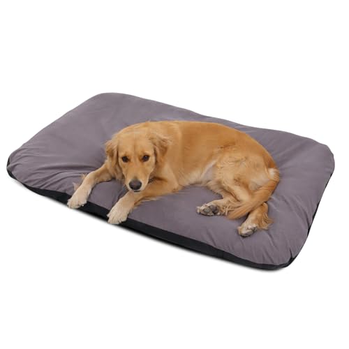 PETCUTE Hundebett Grosse Hunde,Orthopädisches Hundekissen Hundematte mit Bezug Abnehmbar,Waschbar Hundekorb mit rutschfeste Unterseite,für große, mittelgroße,Kleine Hunde PETCUTE Hundebett Grosse Hunde,Orthopädisches Hundekissen Hundematte mit Bezug Abnehmbar,Waschbar Hundekorb mit rutschfeste Unterseite,für große, mittelgroße,Kleine Hunde von PETCUTE