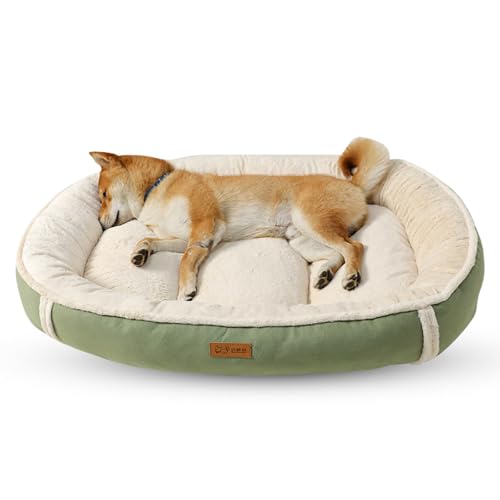 PETCUTE Hundebett Grosse Hunde,Orthopädisches Hundekorb Hundesofa mit rutschfeste Unterseite, Superweicher Hundebett Waschbar für Kleine und Mittelgroße Hunde und Katzen,Flauschig Katzenbett PETCUTE Hundebett Grosse Hunde,Orthopädisches Hundekorb Hundesofa mit rutschfeste Unterseite, Superweicher Hundebett Waschbar für Kleine und Mittelgroße Hunde und Katzen,Flauschig Katzenbett von PETCUTE