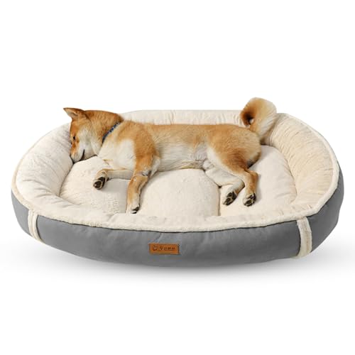 PETCUTE Hundebett Grosse Hunde,Orthopädisches Hundekorb Hundesofa mit rutschfeste Unterseite, Superweicher Hundebett Waschbar für Kleine und Mittelgroße Hunde und Katzen,Flauschig Katzenbett PETCUTE Hundebett Grosse Hunde,Orthopädisches Hundekorb Hundesofa mit rutschfeste Unterseite, Superweicher Hundebett Waschbar für Kleine und Mittelgroße Hunde und Katzen,Flauschig Katzenbett von PETCUTE