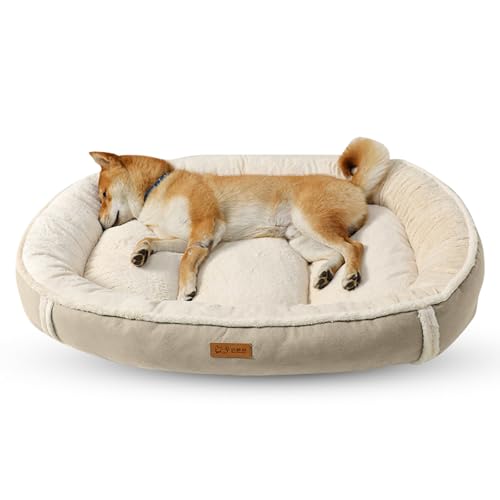 PETCUTE Hundebett Grosse Hunde,Orthopädisches Hundekorb Hundesofa mit rutschfeste Unterseite, Superweicher Hundebett Waschbar für Kleine und Mittelgroße Hunde und Katzen,Flauschig Katzenbett PETCUTE Hundebett Grosse Hunde,Orthopädisches Hundekorb Hundesofa mit rutschfeste Unterseite, Superweicher Hundebett Waschbar für Kleine und Mittelgroße Hunde und Katzen,Flauschig Katzenbett von PETCUTE