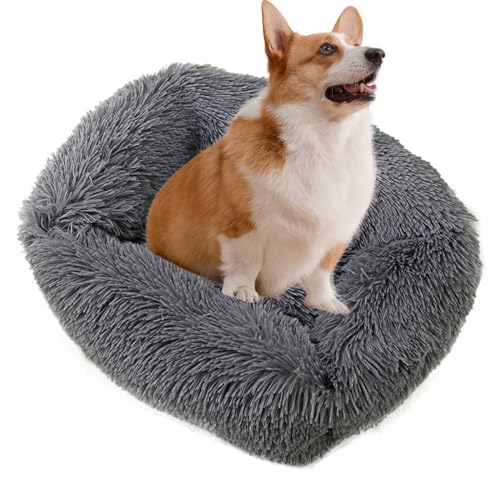 PETCUTE Hundebett Katzenbett,Waschbar Haustierbett für Katzen und Hunde,Winter Katzenbett Rundes Katzen Kissen,Bequeme Rundes Plüsch Weich Hundebett mit rutschfeste Unterseite PETCUTE Hundebett Katzenbett,Waschbar Haustierbett für Katzen und Hunde,Winter Katzenbett Rundes Katzen Kissen,Bequeme Rundes Plüsch Weich Hundebett mit rutschfeste Unterseite von PETCUTE
