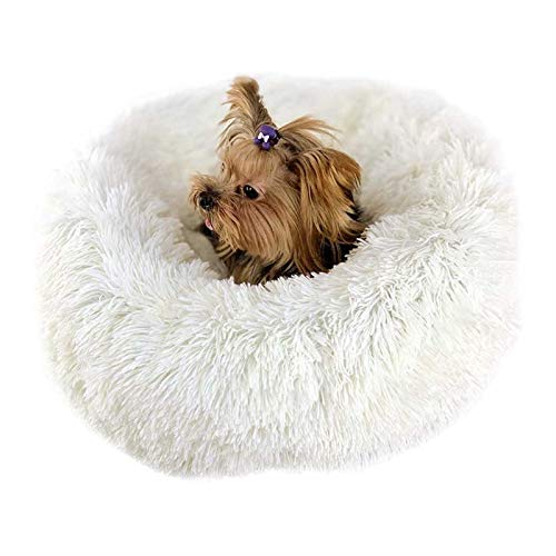 PETCUTE Hundebett Katzenbett Flauschige Marshmallow Katzen Bett Waschbar Runde Katzenkörbchen Weiches Hundekissen PETCUTE Hundebett Katzenbett Flauschige Marshmallow Katzen Bett Waschbar Runde Katzenkörbchen Weiches Hundekissen von PETCUTE