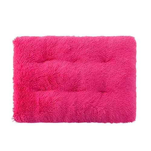 PETCUTE Hundebett Kleine Hunde,Flauschig Waschbar Hundematte für Hundekäfig Boden, Rutschfestes Hundekissen Hundedecke,Plüsch Haustierbett Hundebett,Weich Warm Katzensofa PETCUTE Hundebett Kleine Hunde,Flauschig Waschbar Hundematte für Hundekäfig Boden, Rutschfestes Hundekissen Hundedecke,Plüsch Haustierbett Hundebett,Weich Warm Katzensofa von PETCUTE