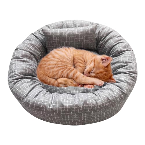 PETCUTE Hundebett Kleine Hunde,Waschbares Hundebett Katzenbett Rutschfestes Hundekissen Hundekorb,Atmungsaktiv Hundesofa mit Kissen,Haustierbett für Kleine/Mittel/Große/Extra große Hunde PETCUTE Hundebett Kleine Hunde,Waschbares Hundebett Katzenbett Rutschfestes Hundekissen Hundekorb,Atmungsaktiv Hundesofa mit Kissen,Haustierbett für Kleine/Mittel/Große/Extra große Hunde von PETCUTE