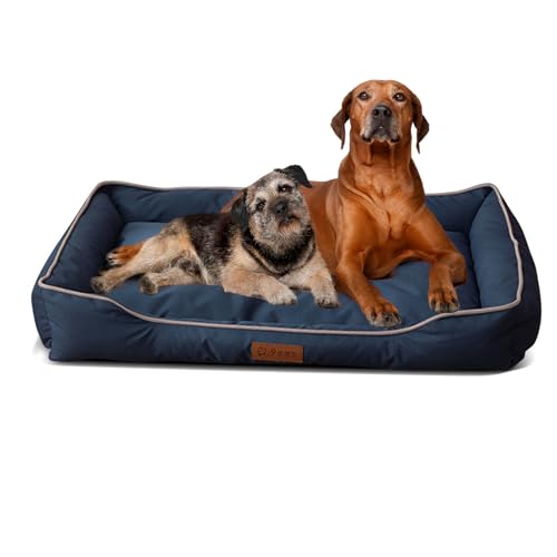 PETCUTE Hundebett Kleine und Mittlgroße Hunde,Wasserdicht Hundekissen Hundekörbchen mit Rutschfester Unterseite,Hundekorb mit Erhöhten Ränder,Haustierbett Waschbar für Hunde und Katzen PETCUTE Hundebett Kleine und Mittlgroße Hunde,Wasserdicht Hundekissen Hundekörbchen mit Rutschfester Unterseite,Hundekorb mit Erhöhten Ränder,Haustierbett Waschbar für Hunde und Katzen von PETCUTE