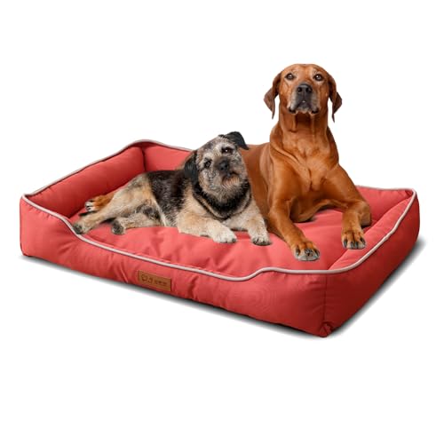PETCUTE Hundebett Kleine und Mittlgroße Hunde,Wasserdicht Hundekissen Hundekörbchen mit Rutschfester Unterseite,Hundekorb mit Erhöhten Ränder,Haustierbett Waschbar für Hunde und Katzen PETCUTE Hundebett Kleine und Mittlgroße Hunde,Wasserdicht Hundekissen Hundekörbchen mit Rutschfester Unterseite,Hundekorb mit Erhöhten Ränder,Haustierbett Waschbar für Hunde und Katzen von PETCUTE
