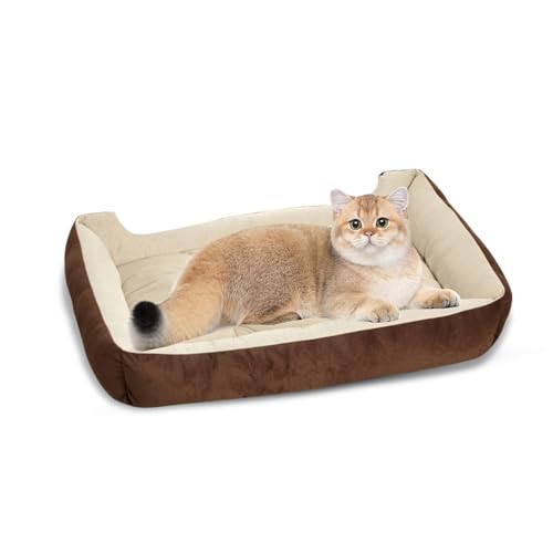 PETCUTE Hundebett Waschbar Haustierbett Hundekissen Katzenbett für kleines mittlere große Hunde von PETCUTE