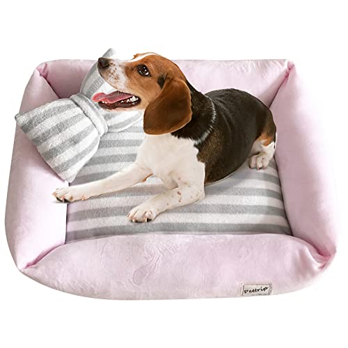 PETCUTE Hundebett für Mittelgroße Hunde,Waschbares Hundebett Katzenbett Rutschfestes Hundekissen Hundekorb mit Kissen,Rechteck Ultra Weicher Hundesofa für Kleine Hunde und Katzen von PETCUTE