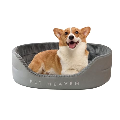 PETCUTE Hundebett für Mittlere Hunde,Orthopädisch Haustierbett für kleine und mittelgroße Hunde und Katzen,Waschbar Hundebett mit rutschfeste Unterseite,Weich,Reversible Katzenbett Hundesofa PETCUTE Hundebett für Mittlere Hunde,Orthopädisch Haustierbett für kleine und mittelgroße Hunde und Katzen,Waschbar Hundebett mit rutschfeste Unterseite,Weich,Reversible Katzenbett Hundesofa von PETCUTE