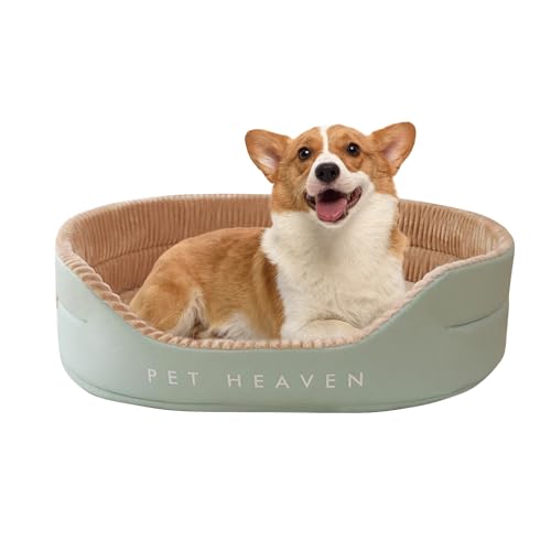 PETCUTE Hundebett für Mittlere Hunde,Orthopädisch Haustierbett für kleine und mittelgroße Hunde und Katzen,Waschbar Hundebett mit rutschfeste Unterseite,Weich,Reversible Katzenbett Hundesofa PETCUTE Hundebett für Mittlere Hunde,Orthopädisch Haustierbett für kleine und mittelgroße Hunde und Katzen,Waschbar Hundebett mit rutschfeste Unterseite,Weich,Reversible Katzenbett Hundesofa von PETCUTE