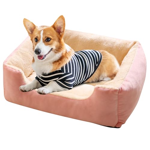 PETCUTE Hundebett kleine Hunde,Warm Hundekorb Hundebett Waschbar mit rutschfeste Unterseite,Plüsch Hundesofa,Hundekissen,Haustierbett für Kleine und Mittlere Hunde und Katzen PETCUTE Hundebett kleine Hunde,Warm Hundekorb Hundebett Waschbar mit rutschfeste Unterseite,Plüsch Hundesofa,Hundekissen,Haustierbett für Kleine und Mittlere Hunde und Katzen von PETCUTE