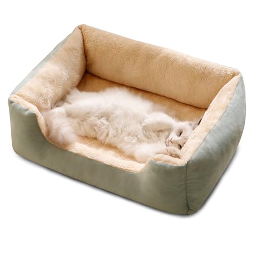PETCUTE Hundebett kleine Hunde,Warm Hundekorb Hundebett Waschbar mit rutschfeste Unterseite,Plüsch Hundesofa,Hundekissen,Haustierbett für Kleine und Mittlere Hunde und Katzen PETCUTE Hundebett kleine Hunde,Warm Hundekorb Hundebett Waschbar mit rutschfeste Unterseite,Plüsch Hundesofa,Hundekissen,Haustierbett für Kleine und Mittlere Hunde und Katzen von PETCUTE