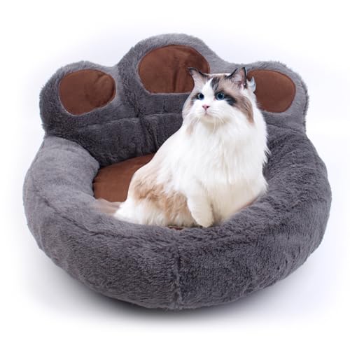 PETCUTE Hundebett kleine Hunde Katzenbett waschbar Hundebetten Mittlere Hunde Haustierbetten PETCUTE Hundebett kleine Hunde Katzenbett waschbar Hundebetten Mittlere Hunde Haustierbetten von PETCUTE