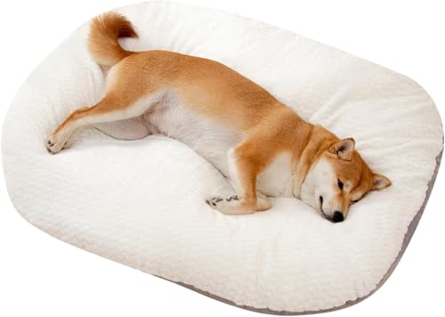 PETCUTE Hundebett mittelgroße Hunde,Atmungsaktiv Hundekissen für mittelgroße und kleine Hunde, Weiches Hundebett Flauschiges Anti Stress, Kuschelig Hundebetten Waschbar mit Reissverschluss PETCUTE Hundebett mittelgroße Hunde,Atmungsaktiv Hundekissen für mittelgroße und kleine Hunde, Weiches Hundebett Flauschiges Anti Stress, Kuschelig Hundebetten Waschbar mit Reissverschluss von PETCUTE