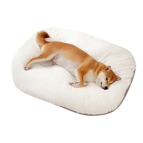 PETCUTE Hundebett mittelgroße Hunde,Atmungsaktiv Hundekissen für mittelgroße und kleine Hunde, Weiches Hundebett Flauschiges Anti Stress, Kuschelig Hundebetten Waschbar mit Reissverschluss von PETCUTE