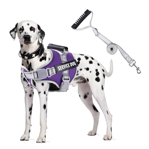 PETCUTE Hundegeschirr Gepolstert aus Weichem Nylon,Reflektierendes Welpengeschirr mit 2 Ringen,Stabiler Griff,Atmungsaktiv Einstellbar Brustgeschirr für große,Mittelgroße und Kleine Hunde PETCUTE Hundegeschirr Gepolstert aus Weichem Nylon,Reflektierendes Welpengeschirr mit 2 Ringen,Stabiler Griff,Atmungsaktiv Einstellbar Brustgeschirr für große,Mittelgroße und Kleine Hunde von PETCUTE