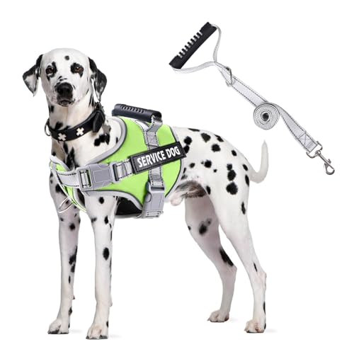 PETCUTE Hundegeschirr Gepolstert aus Weichem Nylon,Reflektierendes Welpengeschirr mit 2 Ringen,Stabiler Griff,Atmungsaktiv Einstellbar Brustgeschirr für große,Mittelgroße und Kleine Hunde PETCUTE Hundegeschirr Gepolstert aus Weichem Nylon,Reflektierendes Welpengeschirr mit 2 Ringen,Stabiler Griff,Atmungsaktiv Einstellbar Brustgeschirr für große,Mittelgroße und Kleine Hunde von PETCUTE