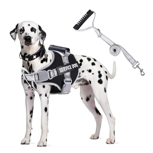 PETCUTE Hundegeschirr Gepolstert aus Weichem Nylon,Reflektierendes Welpengeschirr mit 2 Ringen,Stabiler Griff,Atmungsaktiv Einstellbar Brustgeschirr für große,Mittelgroße und Kleine Hunde PETCUTE Hundegeschirr Gepolstert aus Weichem Nylon,Reflektierendes Welpengeschirr mit 2 Ringen,Stabiler Griff,Atmungsaktiv Einstellbar Brustgeschirr für große,Mittelgroße und Kleine Hunde von PETCUTE