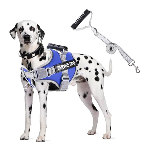 PETCUTE Hundegeschirr Gepolstert aus Weichem Nylon,Reflektierendes Welpengeschirr mit 2 Ringen,Stabiler Griff,Atmungsaktiv Einstellbar Brustgeschirr für große,Mittelgroße und Kleine Hunde PETCUTE Hundegeschirr Gepolstert aus Weichem Nylon,Reflektierendes Welpengeschirr mit 2 Ringen,Stabiler Griff,Atmungsaktiv Einstellbar Brustgeschirr für große,Mittelgroße und Kleine Hunde von PETCUTE